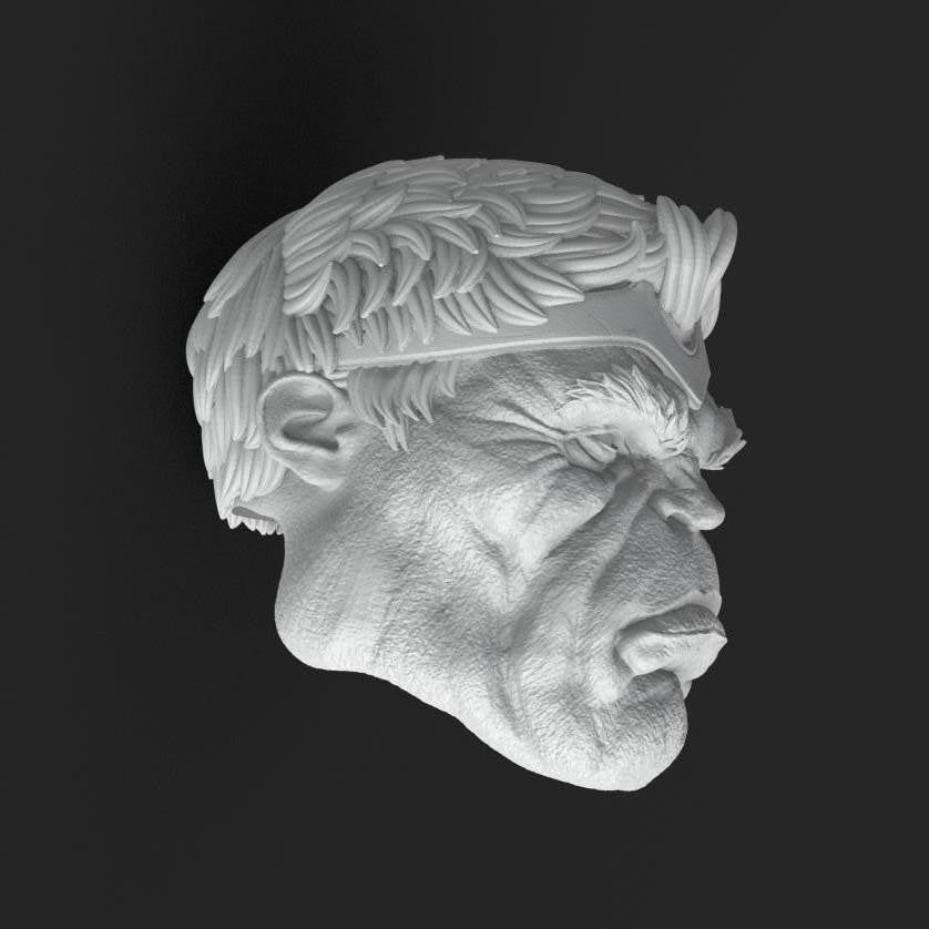 King Hulk head sculpt 1:12 6inch classified, GI joe, mezco, Marvel legend, blac