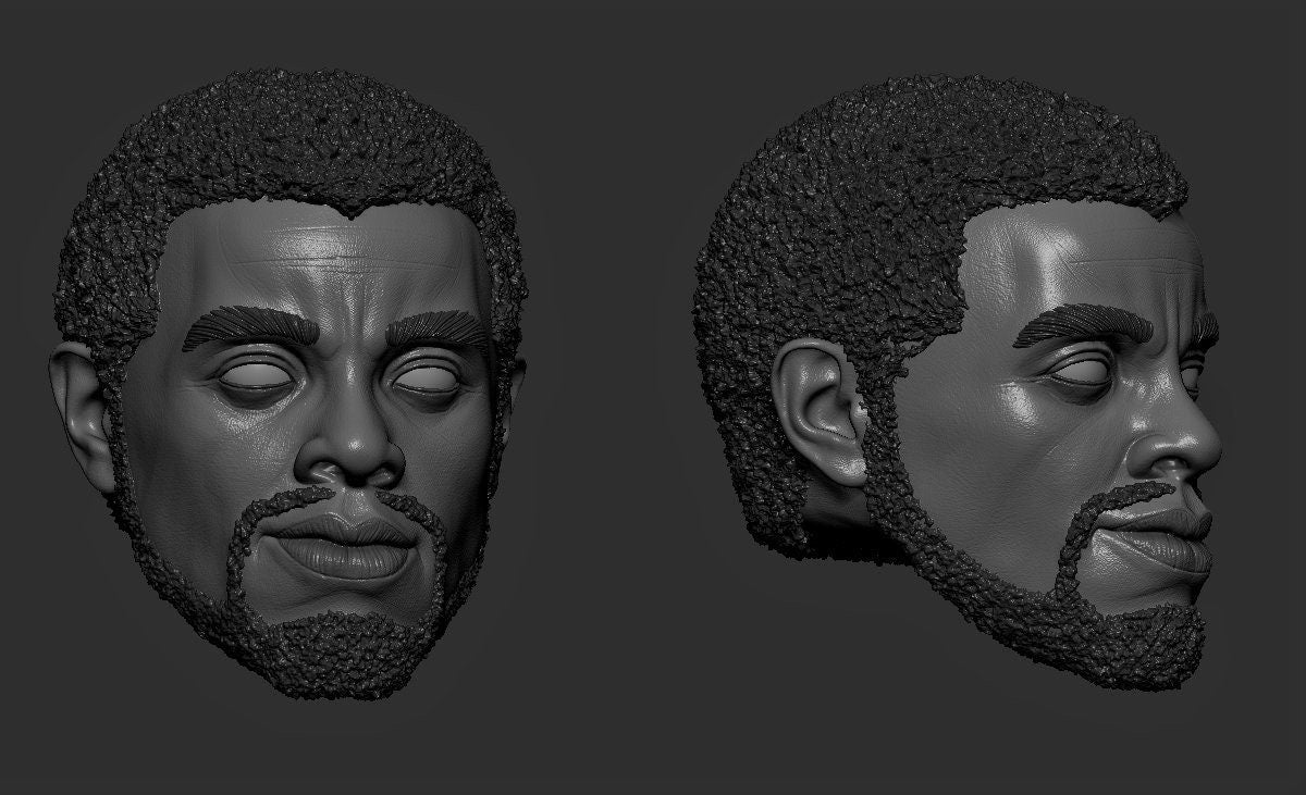 Black Panther, t'challa, Chadwick Boseman, Wakanda forever head sculpt 1:12