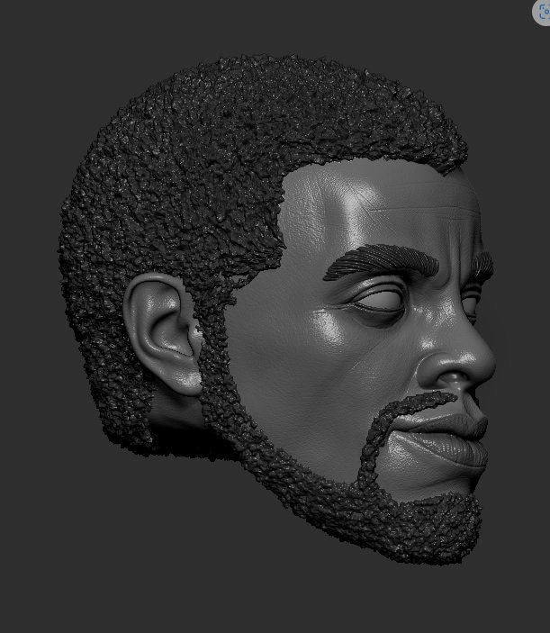 Black Panther, t'challa, Chadwick Boseman, Wakanda forever head sculpt 1:12
