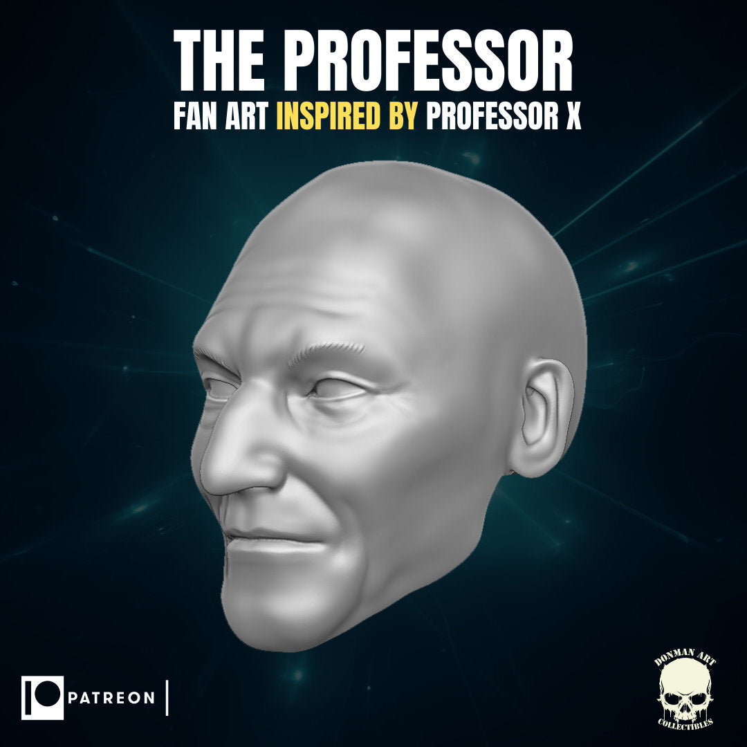 Professor X 1:12 scale heads, resin 3d printed 6" action figure custom hea