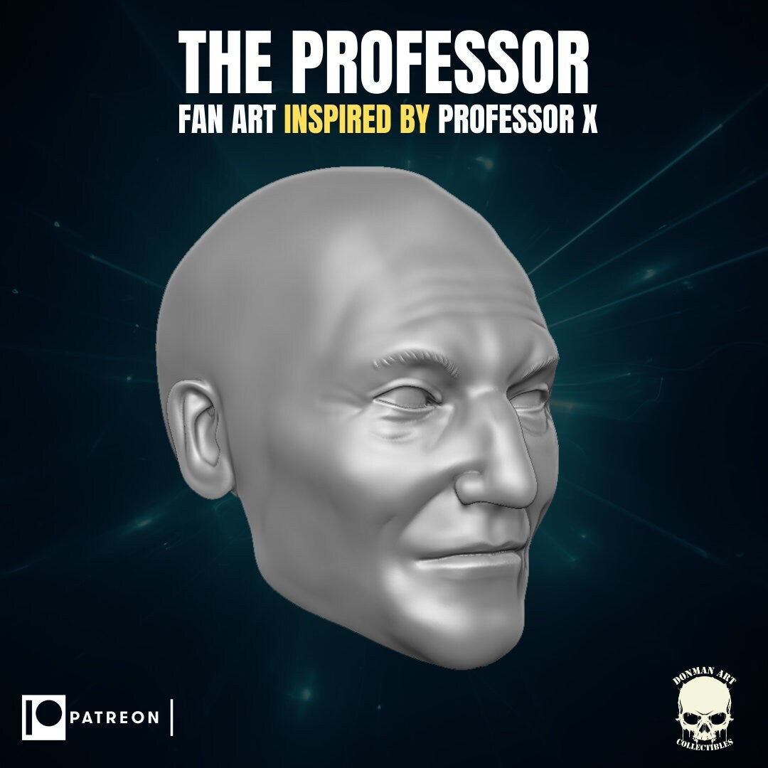 Professor X 1:12 scale heads, resin 3d printed 6" action figure custom hea
