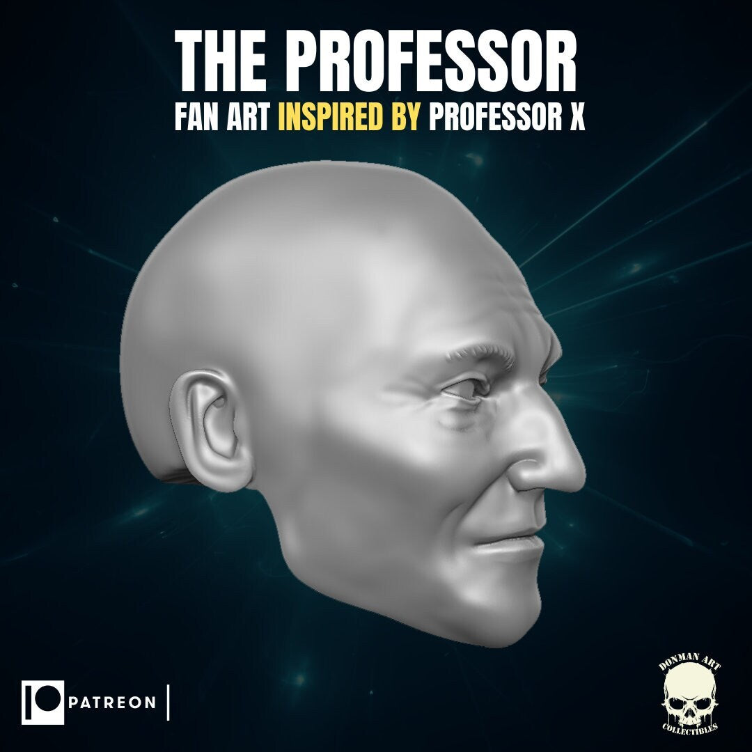Professor X 1:12 scale heads, resin 3d printed 6" action figure custom hea