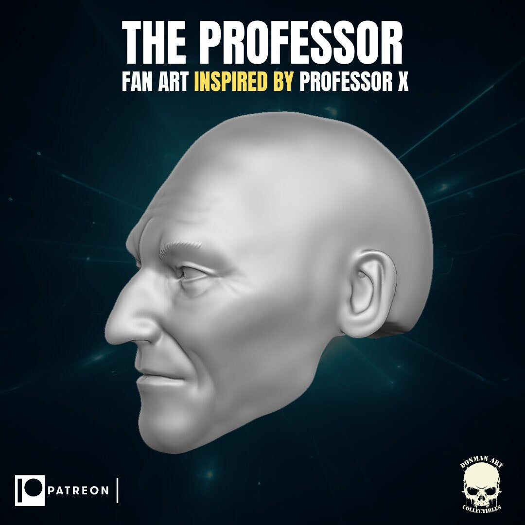 Professor X 1:12 scale heads, resin 3d printed 6" action figure custom hea