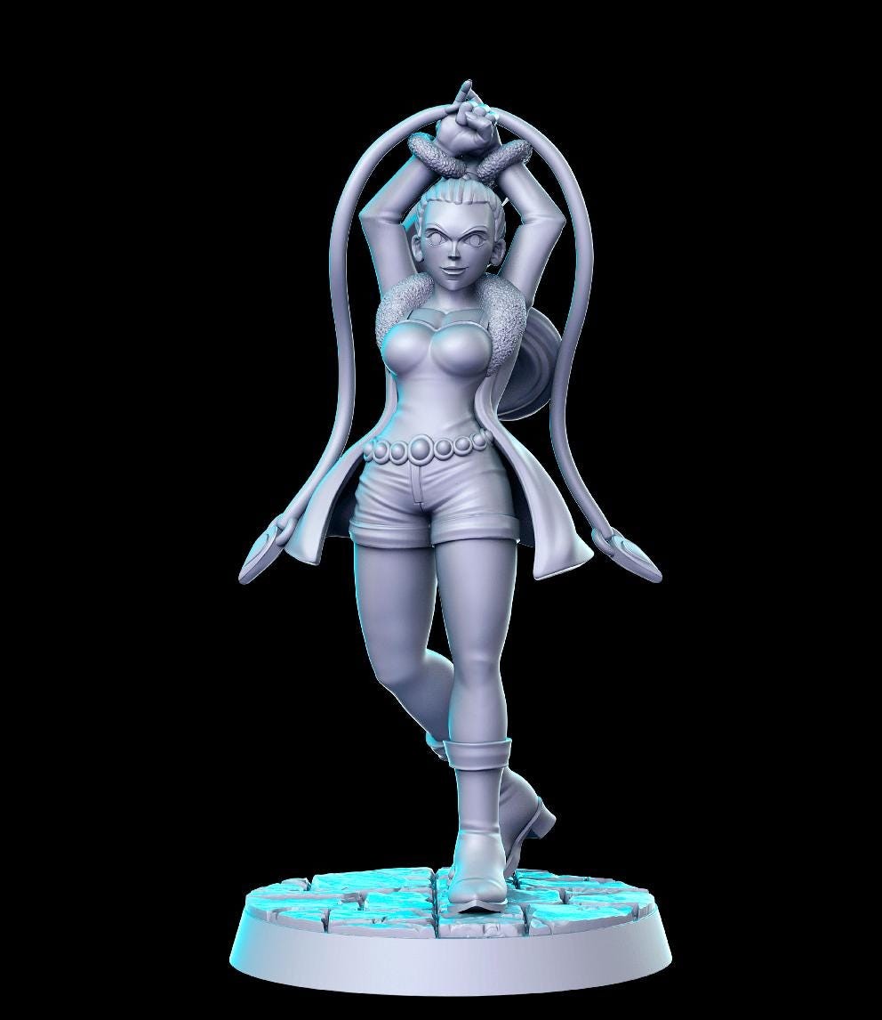 Anime Series Vol 13 Full Set DnD Miniature, Tabletop RPG DnD Mini, D&D Figurine